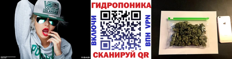 kraken онион  Долгопрудный  Шишки марихуана планчик 